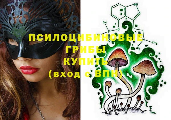 тгк Кулебаки