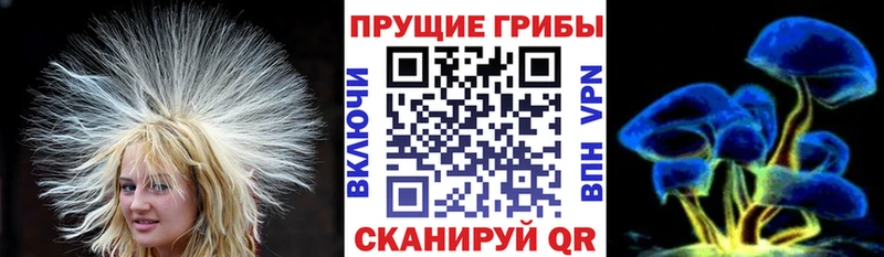 наркошоп  Кулебаки  kraken как зайти  Псилоцибиновые грибы GOLDEN TEACHER 